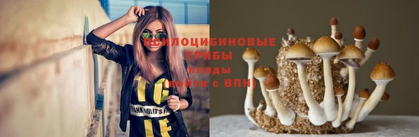 гидропоника Новодвинск