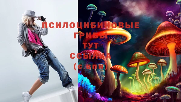 гидропоника Володарск