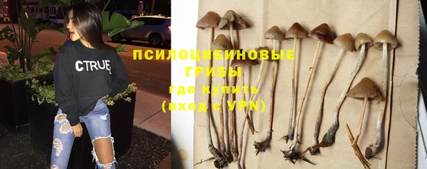 гидропоника Володарск