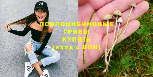 гидропоника Володарск