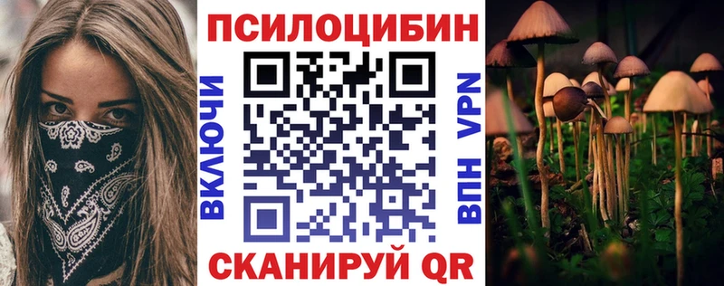Псилоцибиновые грибы Psilocybine cubensis Верхняя Пышма