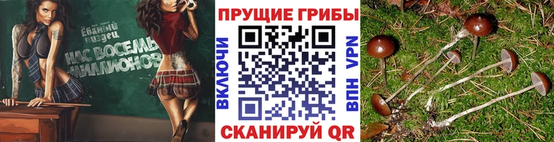 Галлюциногенные грибы мухоморы Верхняя Пышма