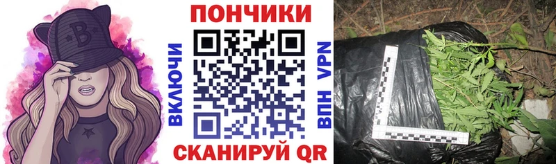 Бошки Шишки гибрид  где можно купить   Верхняя Пышма 